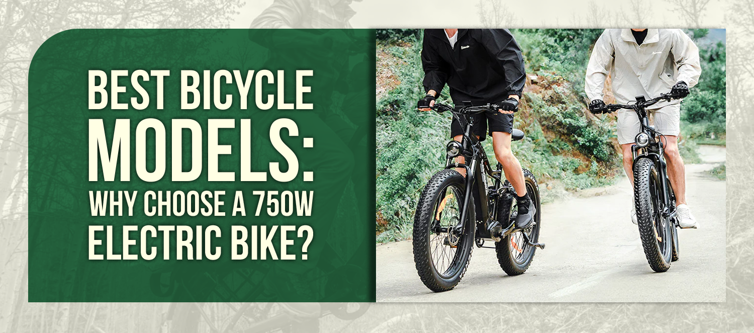 Best Bicycle Models: Why Choose a 750W Electric Bike?