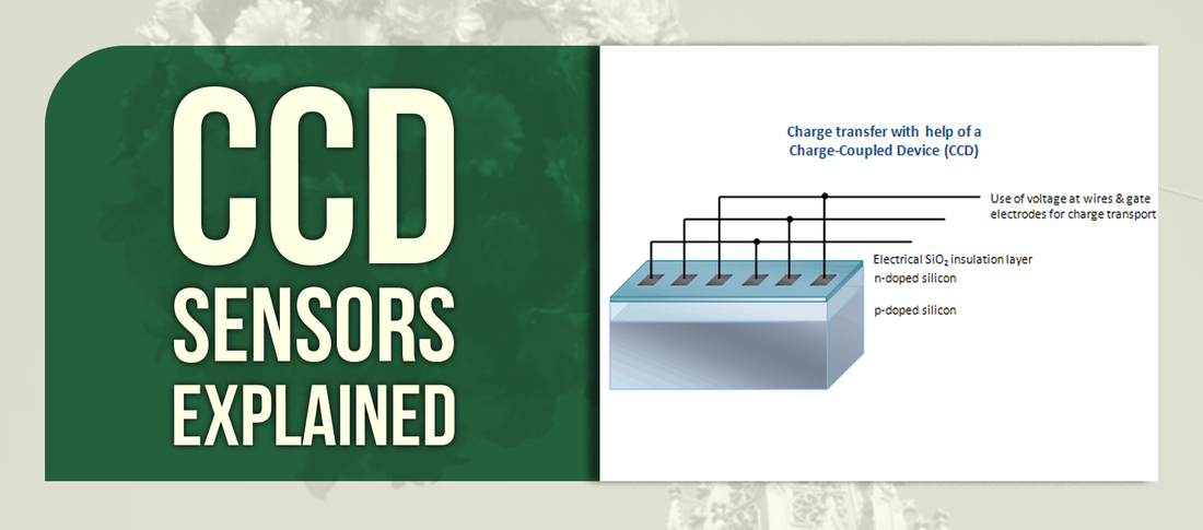 CCD Sensors Explained: Layout, Function &amp; Camera Essentials for Machine Vision