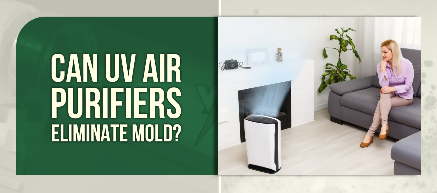 Can UV Air Purifiers Eliminate Mold?