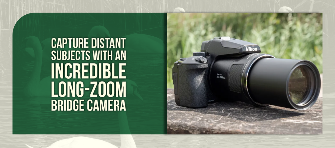 Capture Distant Subjects with an Incredible Long-Zoom Bridge Camera