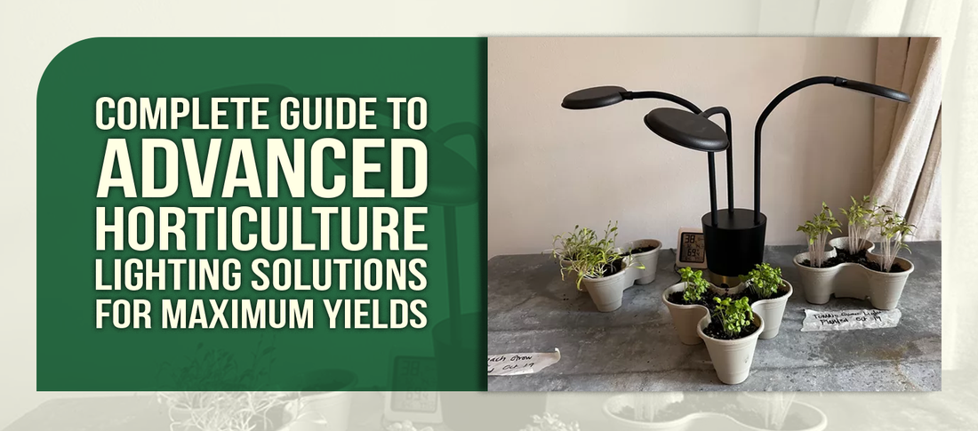 Complete Guide to Advanced Horticulture Lighting Solutions for Maximum Yields