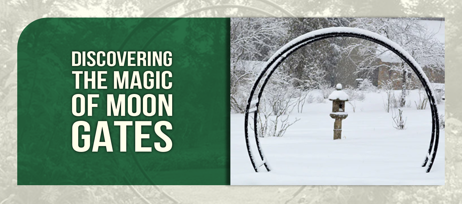 Discovering the Magic of Moon Gates