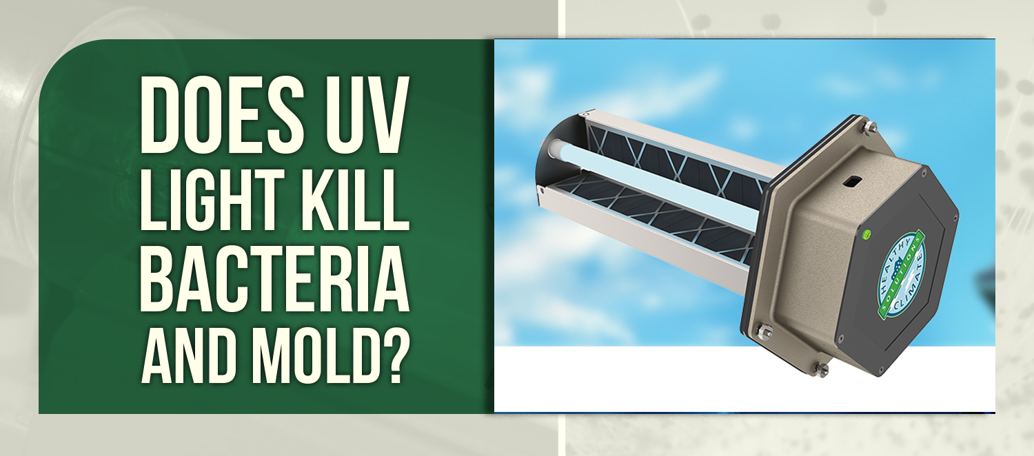 Does UV Light Kill Bacteria and Mold?