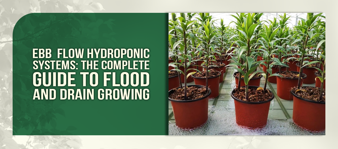 Ebb  Flow Hydroponic Systems: The Complete Guide to Flood and Drain Growing