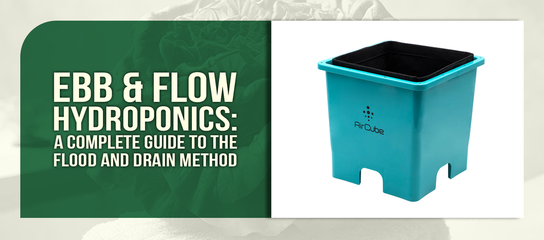 Ebb & Flow Hydroponics: A Complete Guide to the Flood and Drain Method