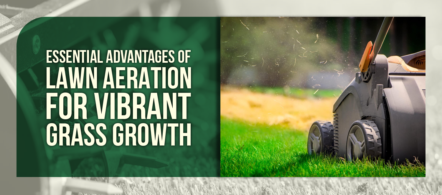 Essential Advantages of Lawn Aeration for Vibrant Grass Growth