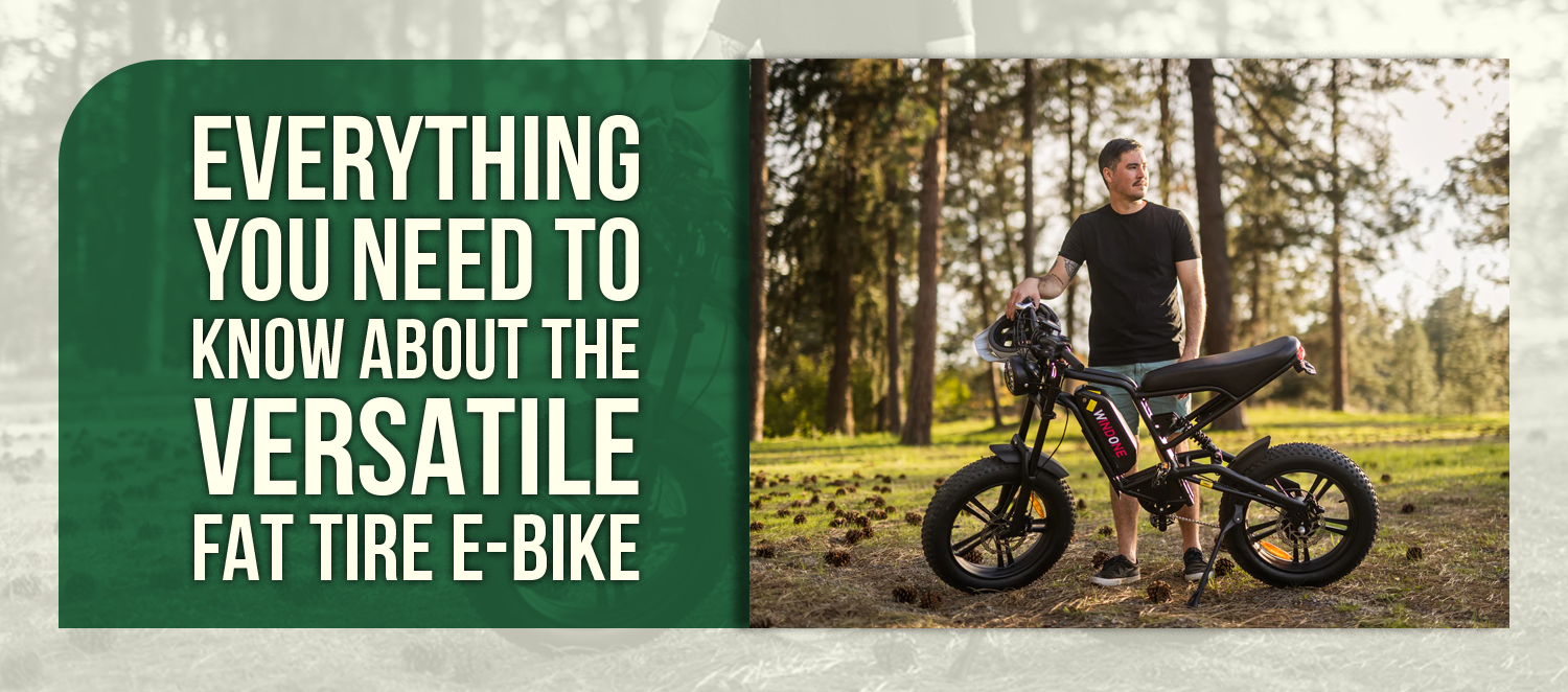 Everything You Need to Know About the Versatile Fat Tire E-Bike