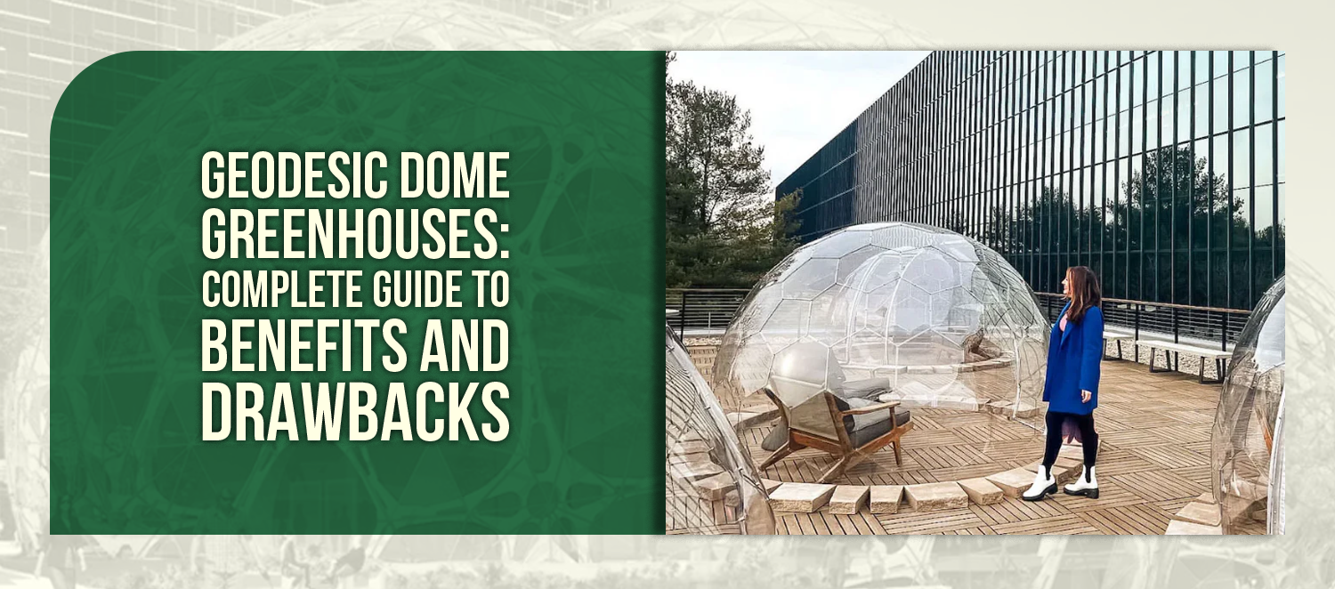 Geodesic Dome Greenhouses: Complete Guide to Benefits and Drawbacks
