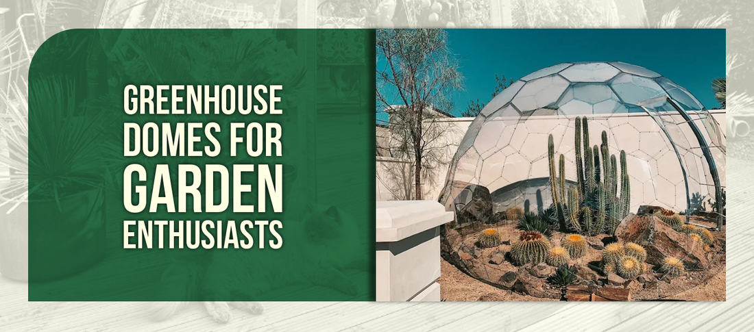 Greenhouse Domes For Garden Enthusiasts