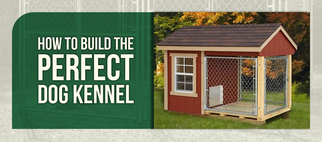 How to Build the Perfect Dog Kennel