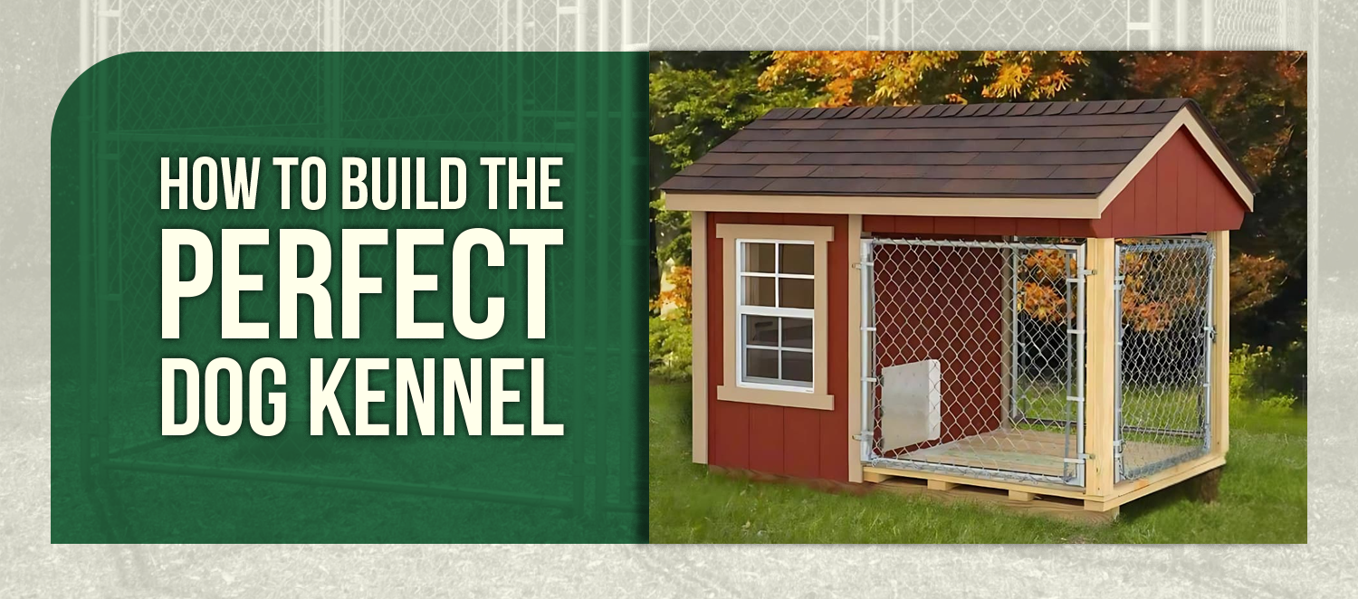 How to Build the Perfect Dog Kennel