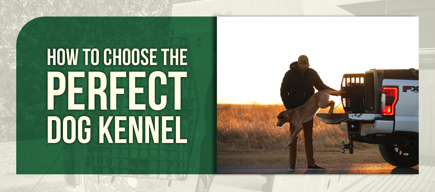 How to Choose the Perfect Dog Kennel