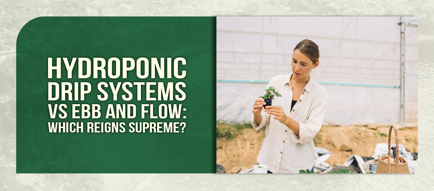 Hydroponic Drip Systems vs Ebb and Flow: Which Reigns Supreme?