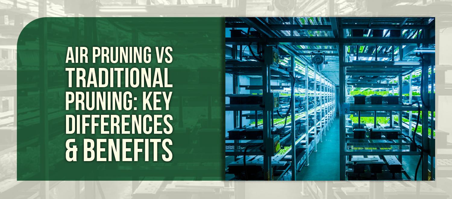 Is Your Hydroponic System Starving for Oxygen? Here's Why It's Critical