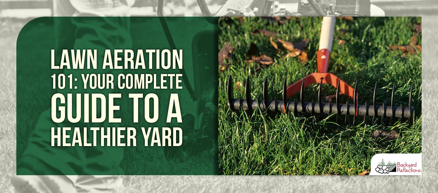 Lawn Aeration 101: Your Complete Guide to a Healthier Yard