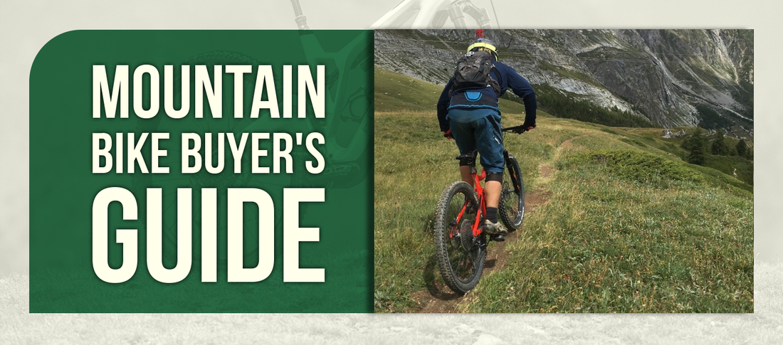 Mountain Bike Buyer's Guide