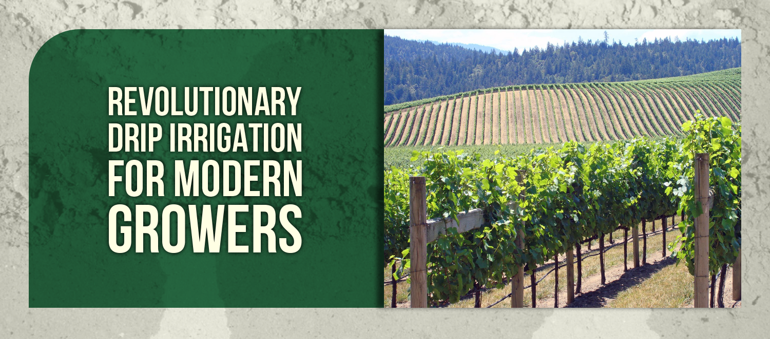 Revolutionary Drip Irrigation for Modern Growers