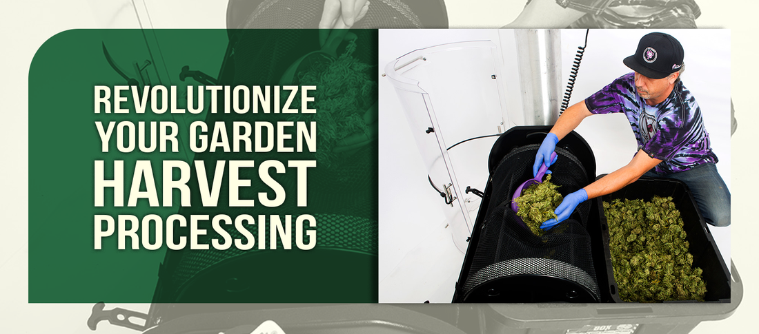 Revolutionize Your Garden Harvest Processing