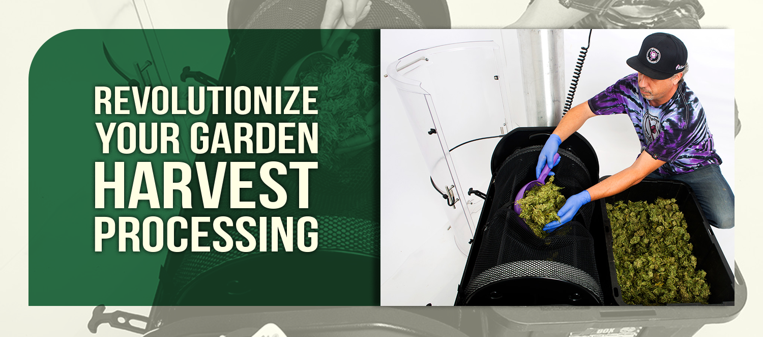 Revolutionize Your Garden Harvest Processing