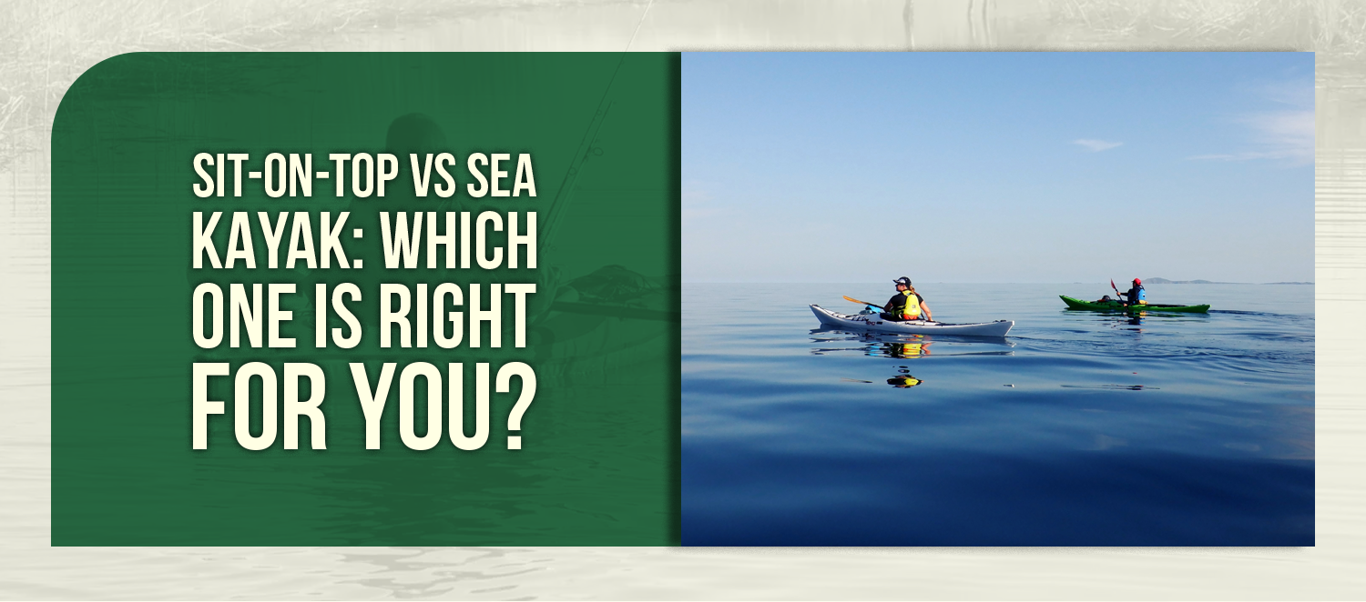 Sit-on-Top vs Sea Kayak: Which One Is Right for You?