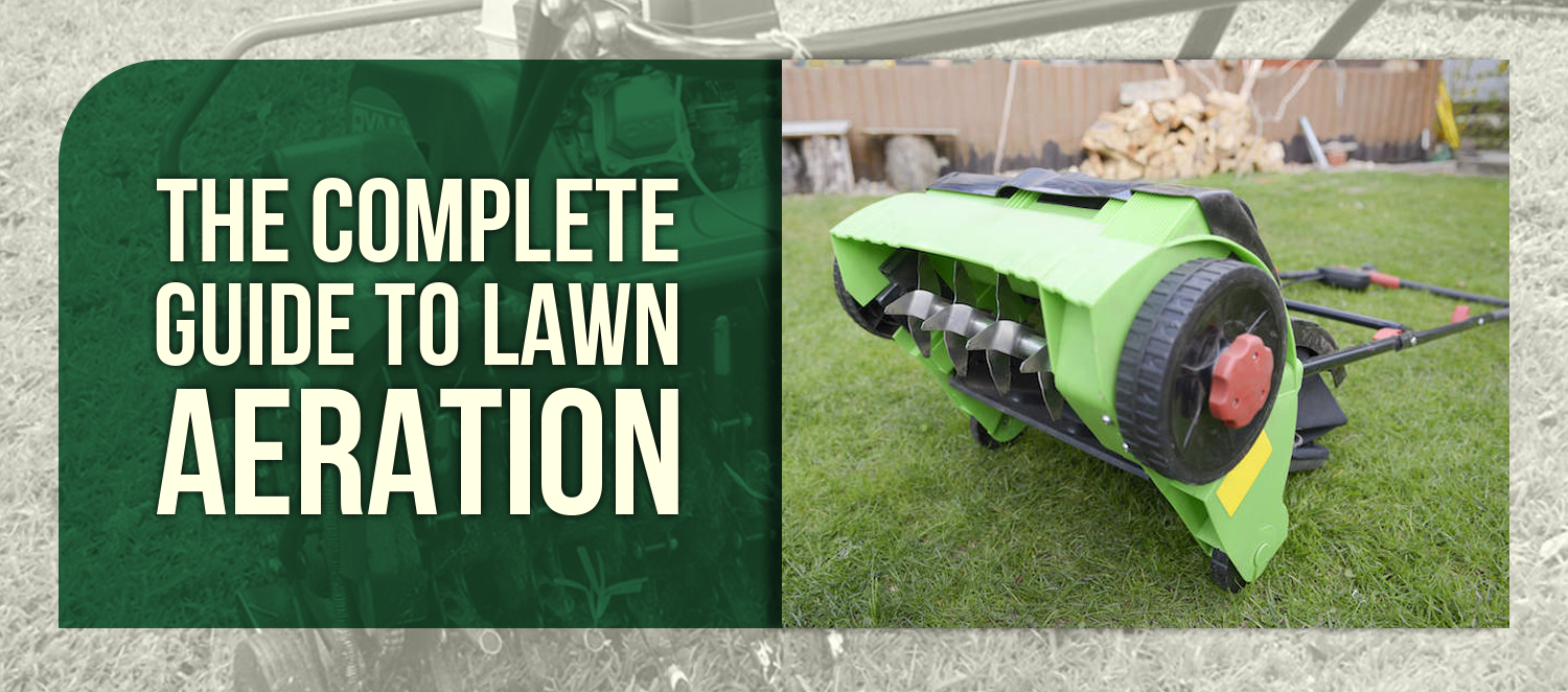 The Complete Guide to Lawn Aeration