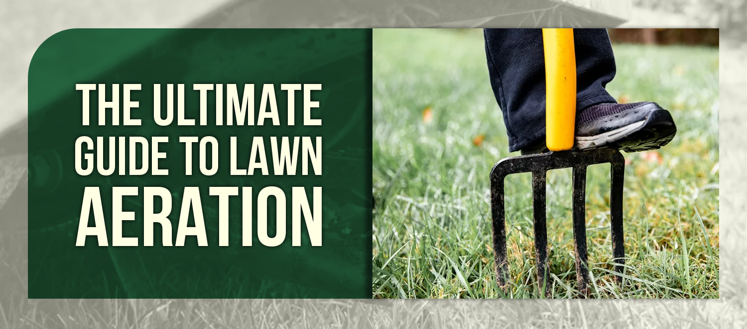 The Ultimate Guide to Lawn Aeration