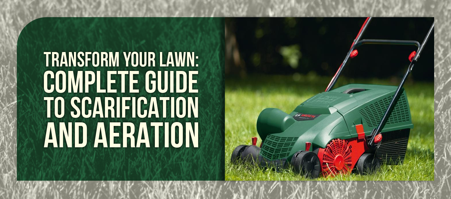 Transform Your Lawn: Complete Guide to Scarification and Aeration