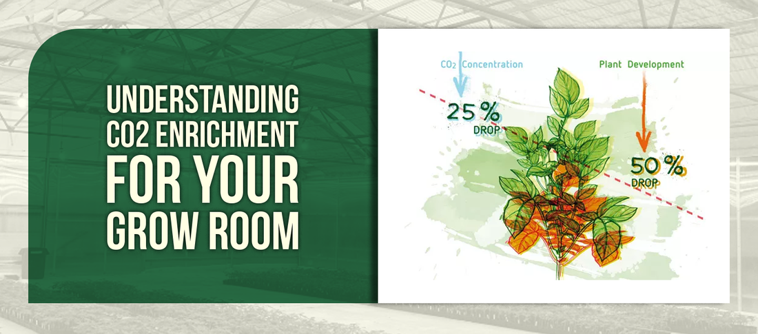 Understanding CO2 Enrichment for Your Grow Room