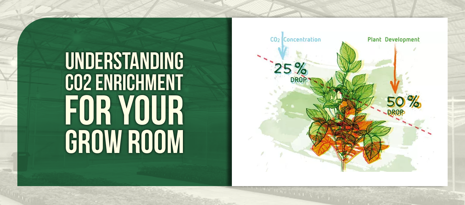 Understanding CO2 Enrichment for Your Grow Room