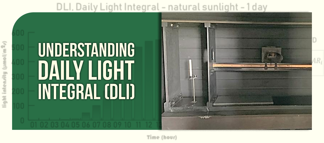 Understanding Daily Light Integral (DLI)