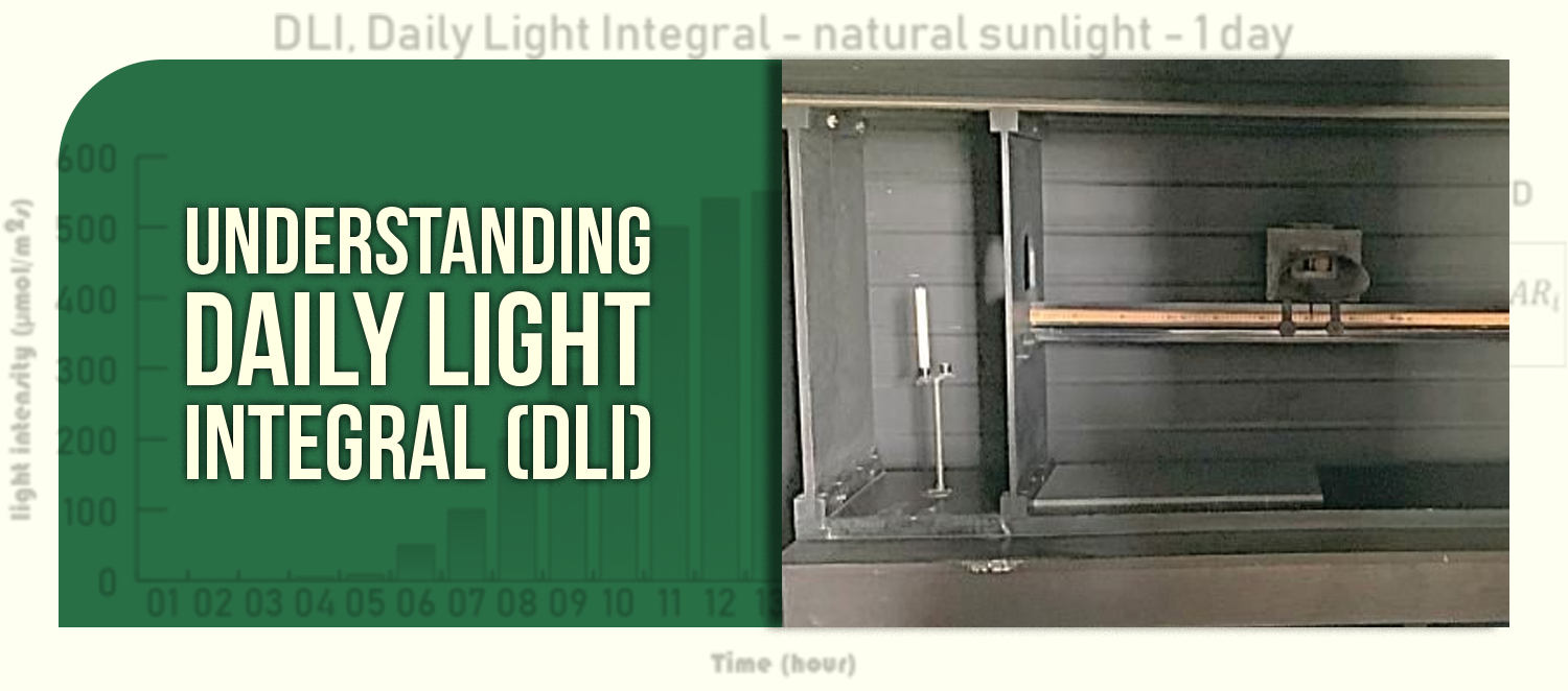 Understanding Daily Light Integral (DLI)
