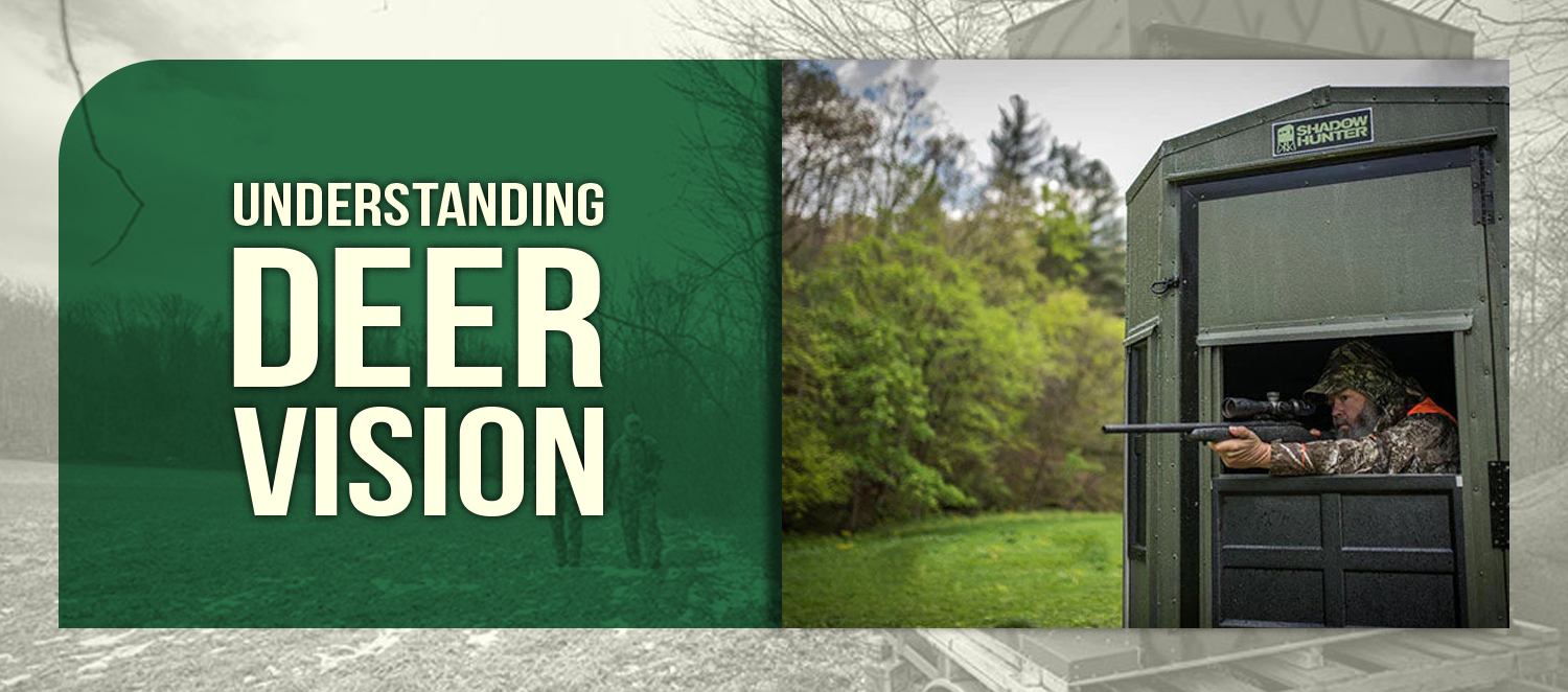 Understanding Deer Vision