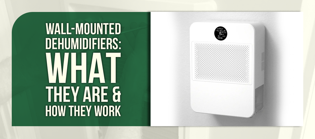 Wall-Mounted Dehumidifiers: What They Are & How They Work