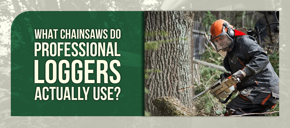 What Chainsaws Do Professional Loggers Actually Use?