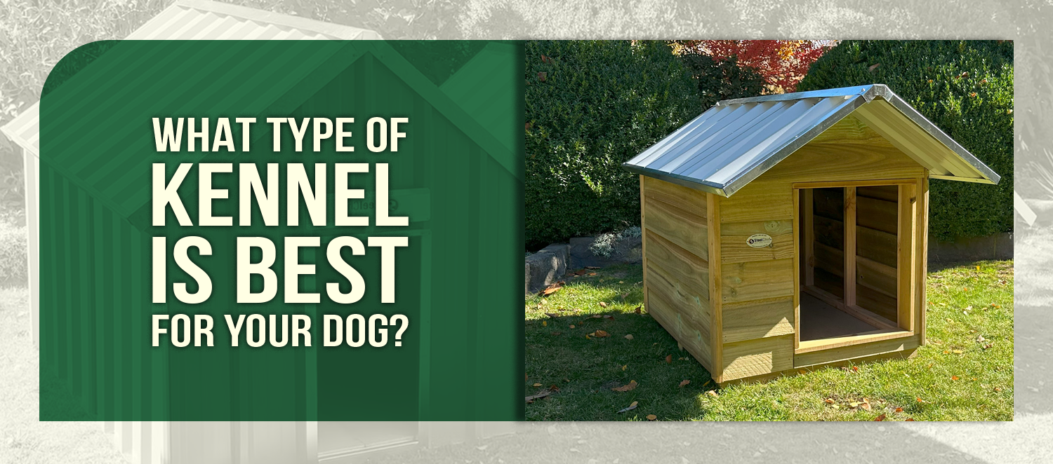 What Type of Kennel Is Best for Your Dog?