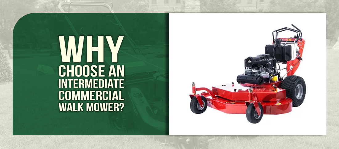 Why Choose an Intermediate Commercial Walk Mower?