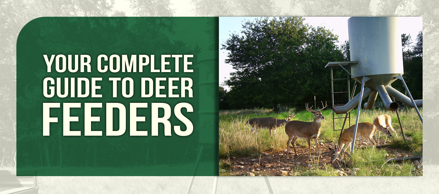 Your Complete Guide to Deer Feeders