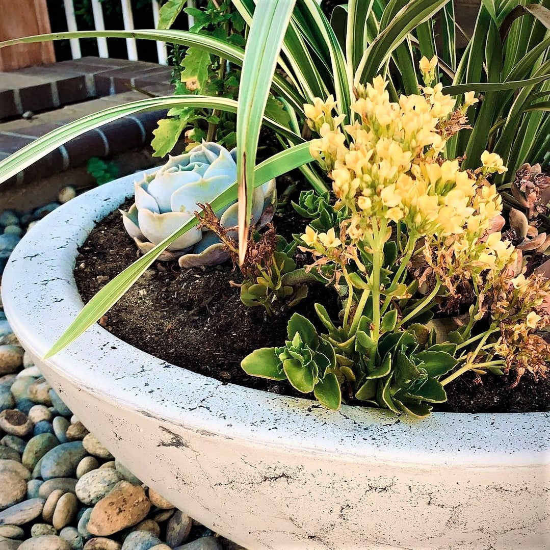 The Outdoor Plus-Planters