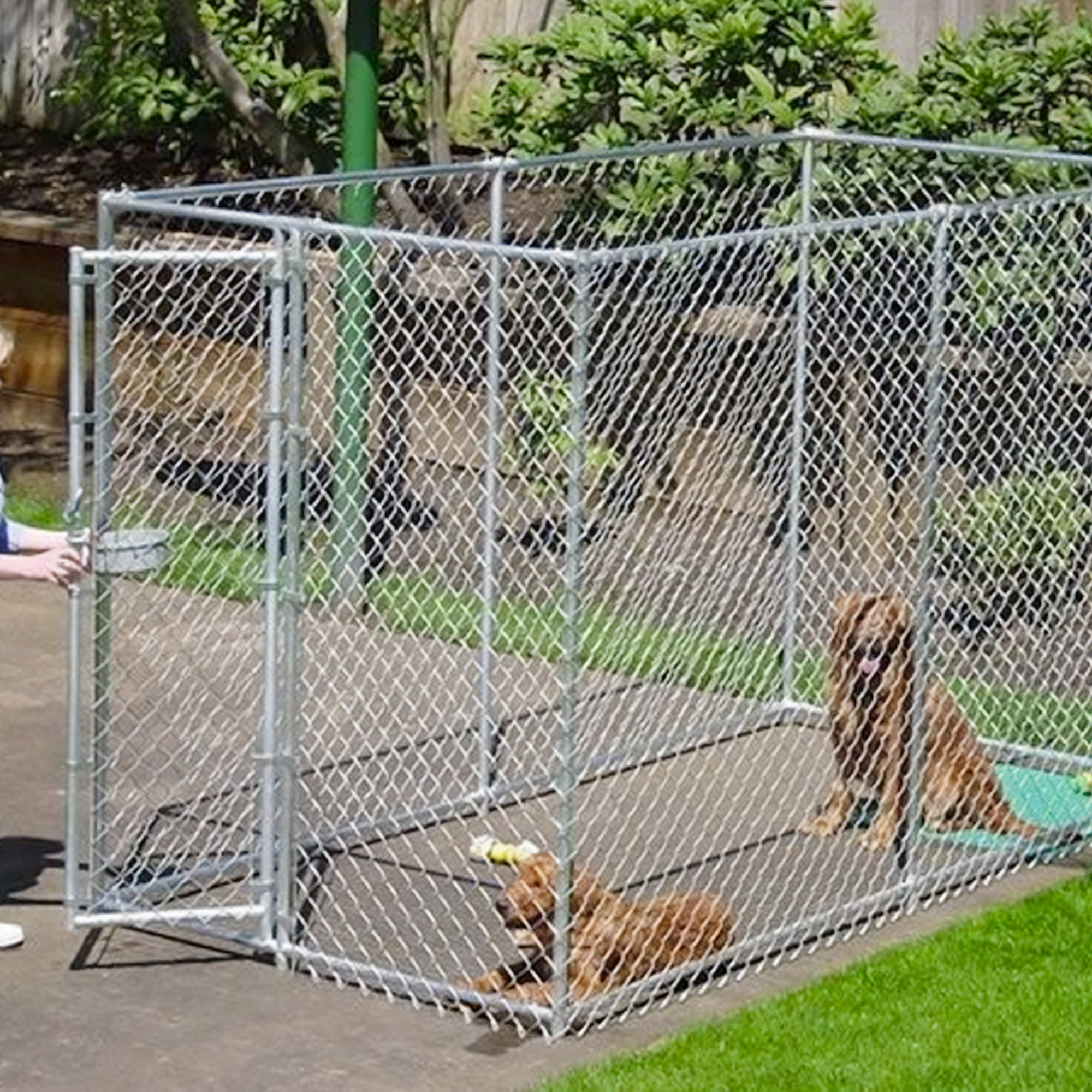 Lucky Dog Adjustable 10' x 5' x 6' Heavy Duty Chain Link Dog Kennel Enclosure - 117259