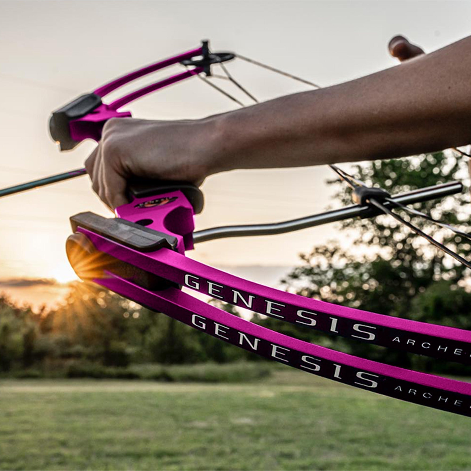 Genesis Archery Compound Bow Adjustable Sizing for Right Handed, Purple (4 Pack) - 323668