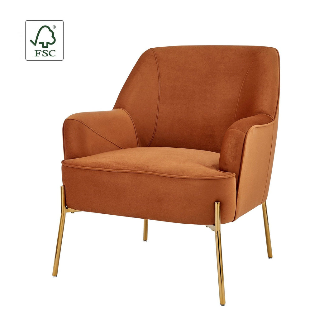 New Pacific Direct Arianna Velvet Fabric Accent Arm Chair 1900183-565 - 1900183-565