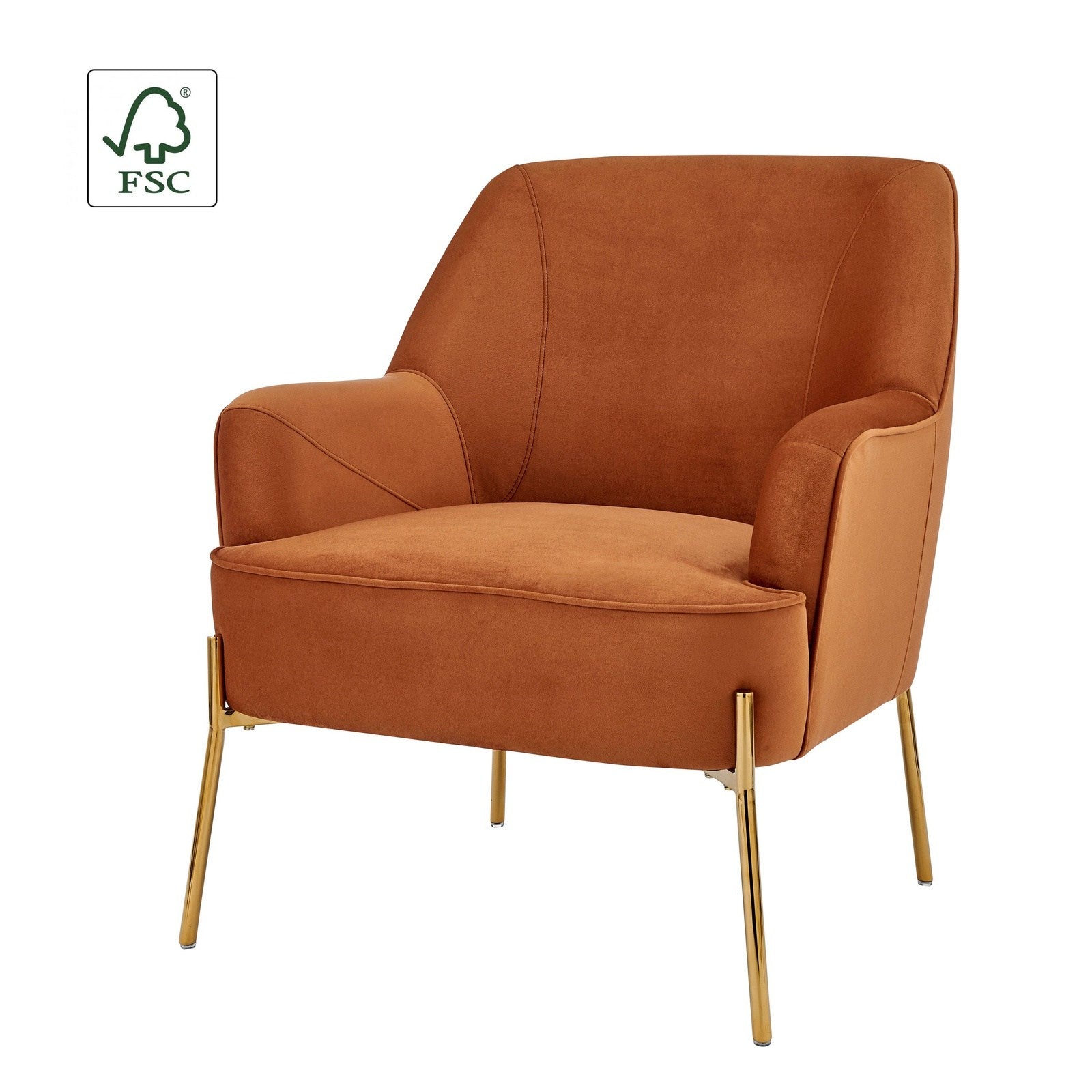 New Pacific Direct Arianna Velvet Fabric Accent Arm Chair 1900183-565 - 1900183-565