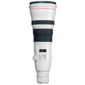 Canon 800mm f5.6L IS - 1914
