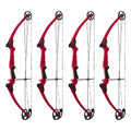 Genesis Archery Compound Bow Adjustable Sizing for Right Handed, Red (4 Pack) - 323624