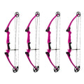 Genesis Archery Compound Bow Adjustable Sizing for Right Handed, Purple (4 Pack) - 323668