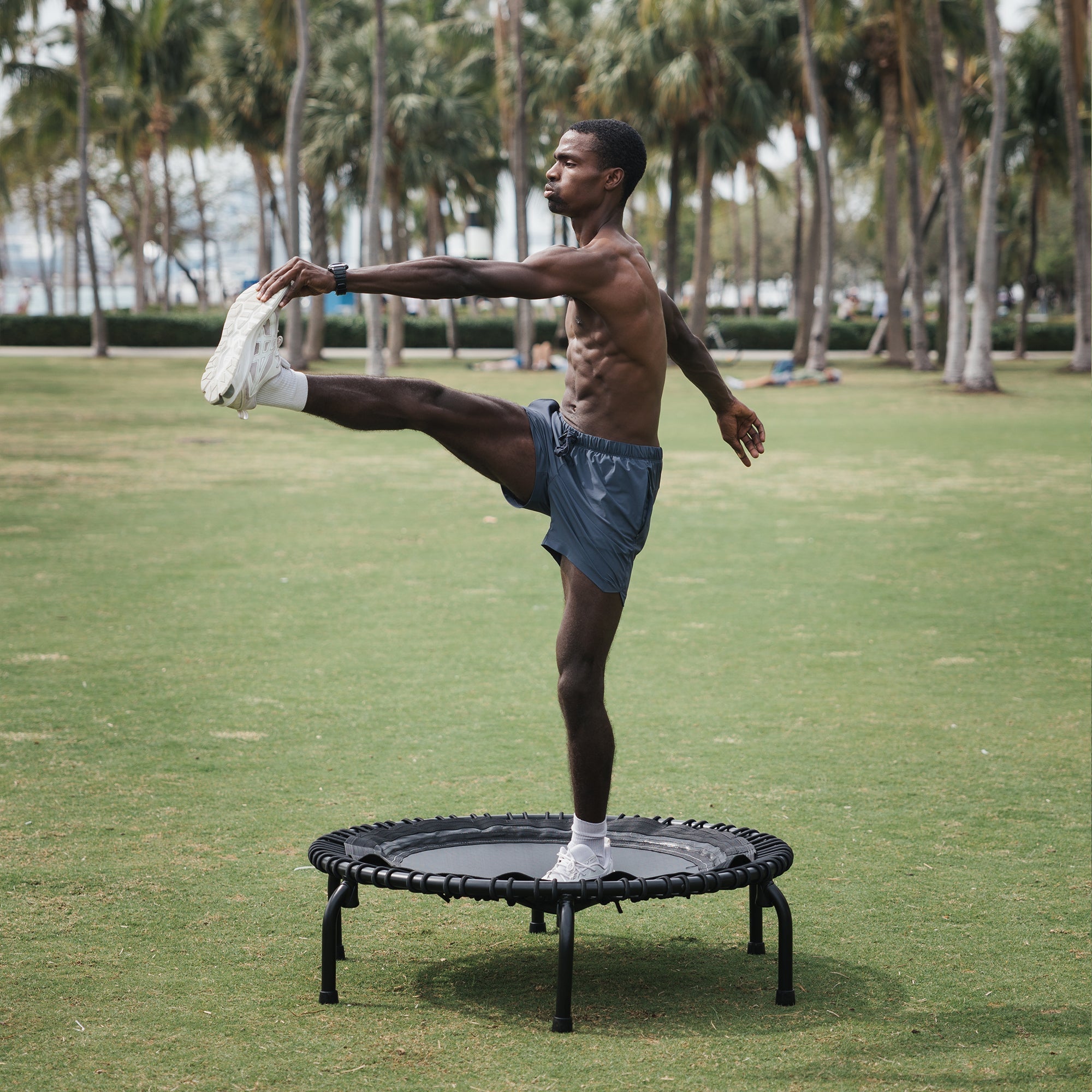 Disc-O-Bed JumpSport 550 Workout Rebounder for Adults, 44" | PRO CE | Mini Exercise Fitness Trampoline Jumper with Cables | Black - 414166