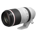 Canon RF 100-500mm f4.5-7.1 IS USM - 795098