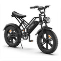 Happyrun Electric Bike Fat Tire Cargo City E-bike -  G50