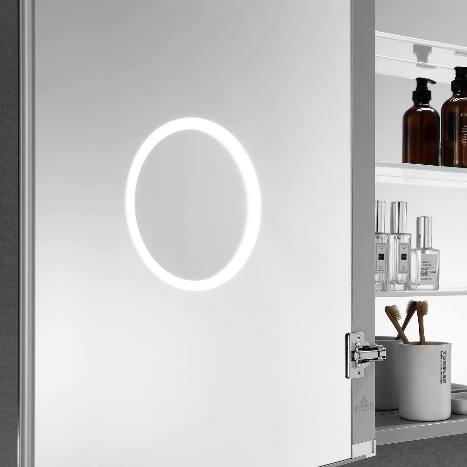 Blossom Asta – 20 Inches LED Medicine Cabinet - MCL2 2032L