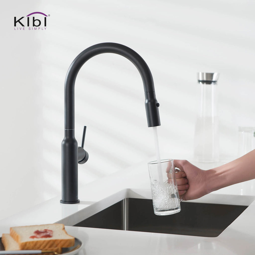 Kibi Hilo Single Handle High Arc Pull Down Kitchen Faucet in Matte Black Finish - KKF2008MB